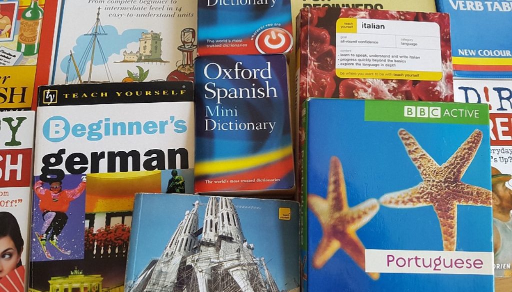 dictionaries (resized)