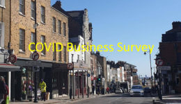 COVID Business Survey